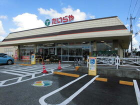 14/29 その他画像