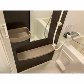 8/13 その他画像