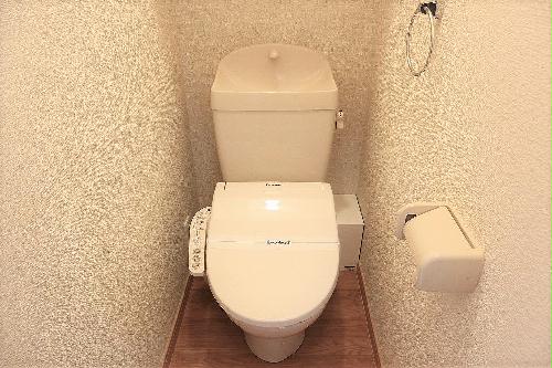 11/14 その他画像