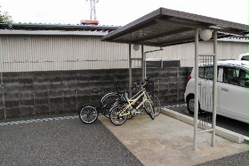 11/15 その他画像