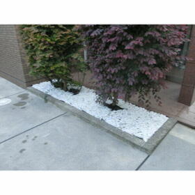 10/16 その他画像