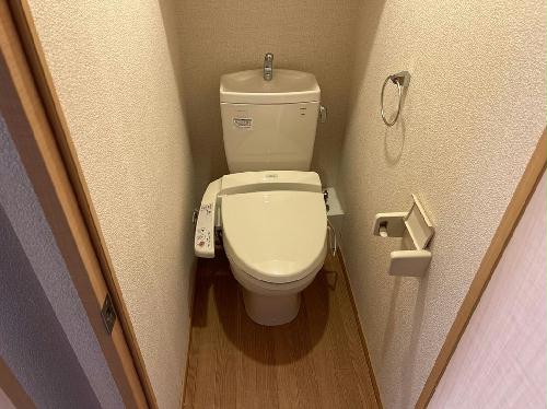 8/14 その他画像