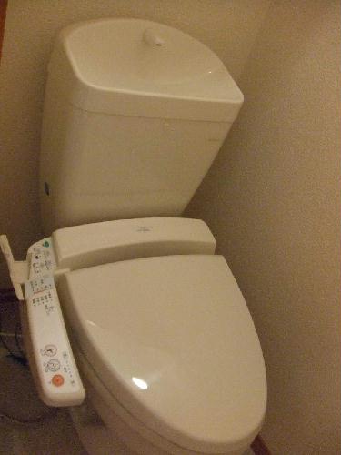 11/14 その他画像