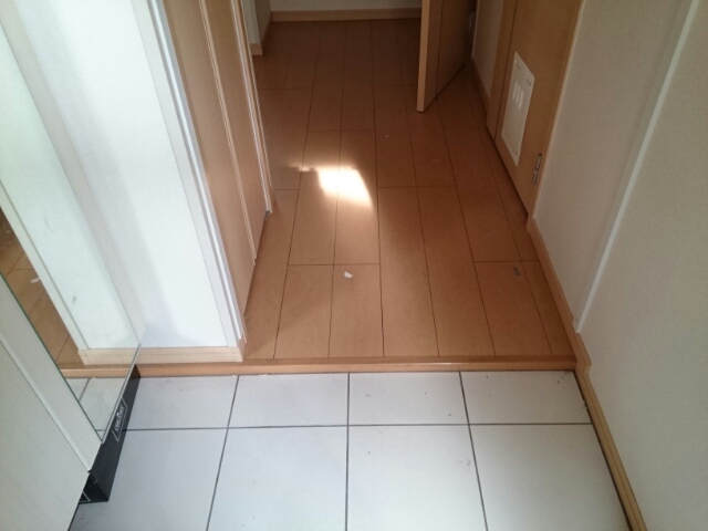 6/19 玄関