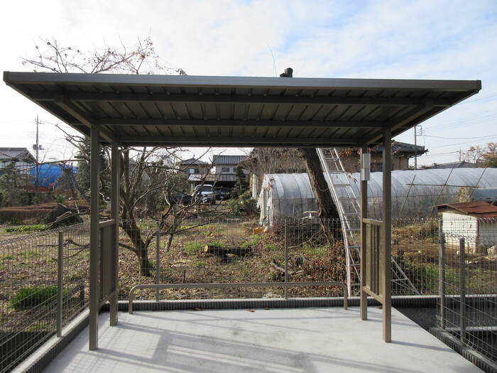 15/21 その他画像