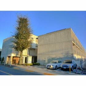 3/11 その他画像