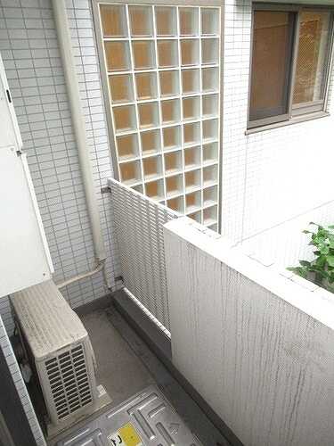 11/11 その他画像