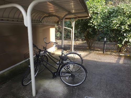 13/17 その他画像