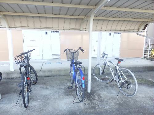 11/14 その他画像