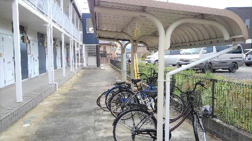 8/19 その他画像