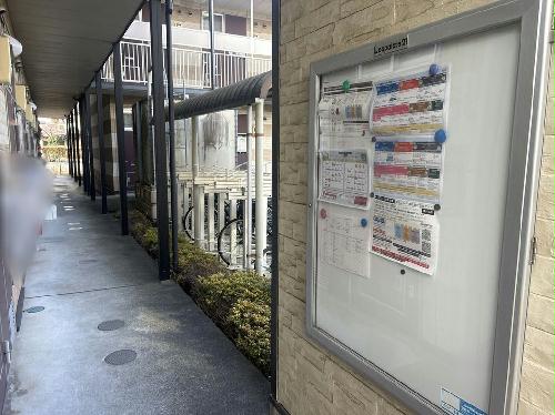 8/16 その他画像