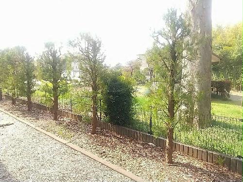 9/16 その他画像