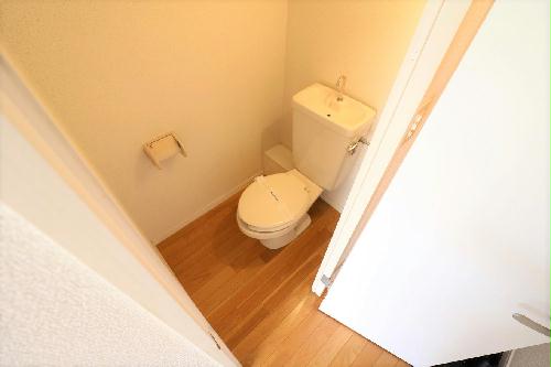 11/14 その他画像