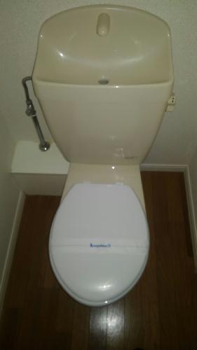 7/17 その他画像