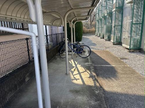 6/14 その他画像