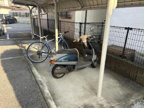 7/14 その他画像