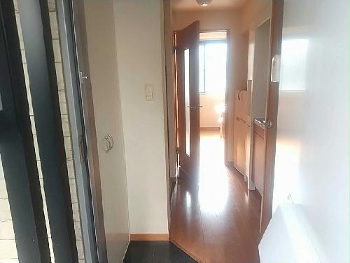 11/14 その他画像