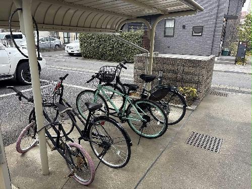 その他画像