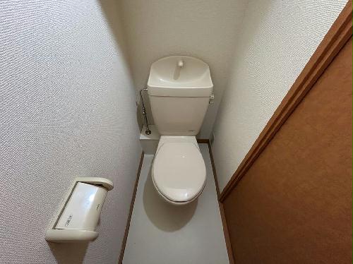 8/14 その他画像