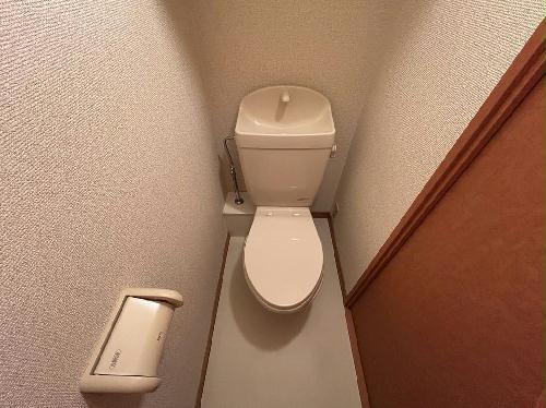 8/14 その他画像