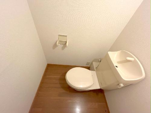 8/14 その他画像