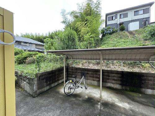 11/14 その他画像