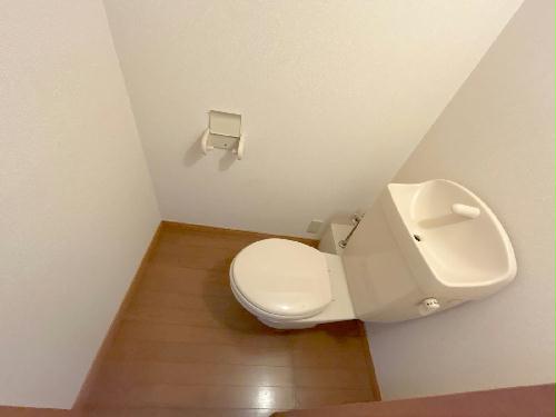 8/14 その他画像