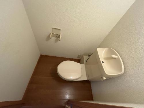 8/14 その他画像