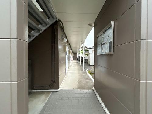 6/14 その他画像