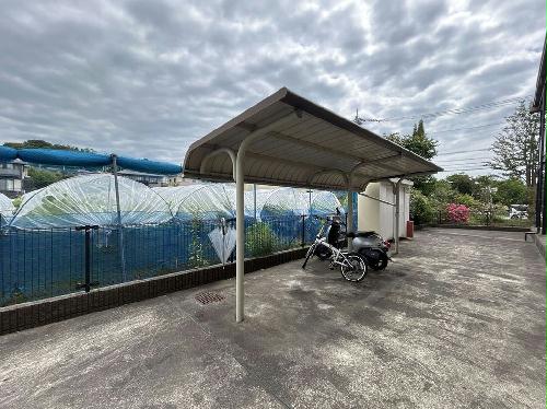 8/14 その他画像