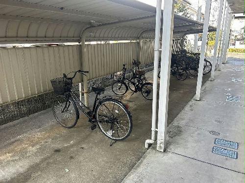 8/14 その他画像