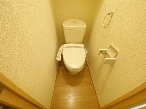 8/14 その他画像