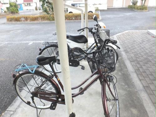 11/14 その他画像