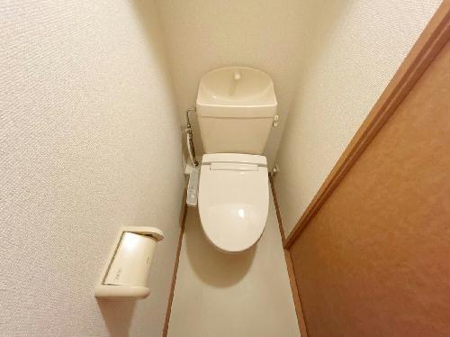 8/14 その他画像