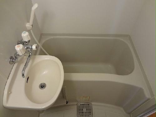 11/14 その他画像