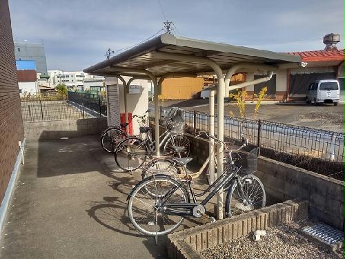 11/19 その他画像