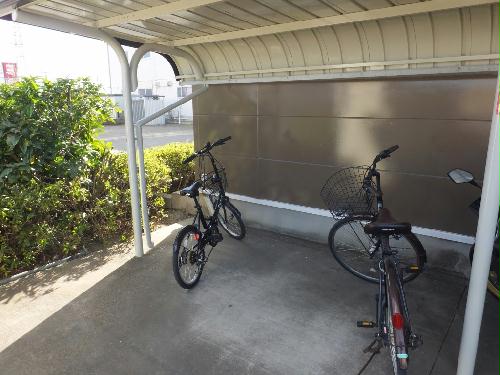 11/14 その他画像