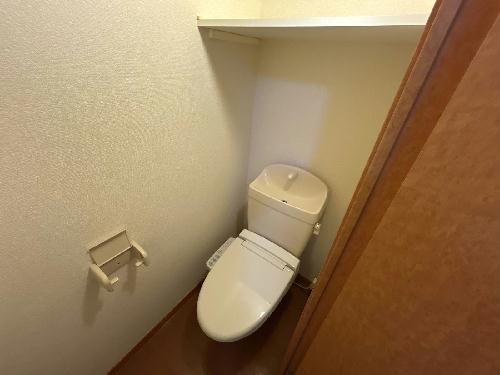 8/15 その他画像