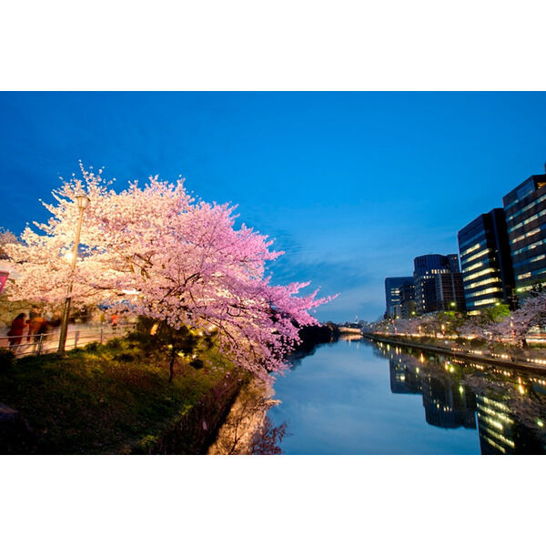 15/26 その他画像