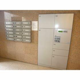 5/11 その他画像