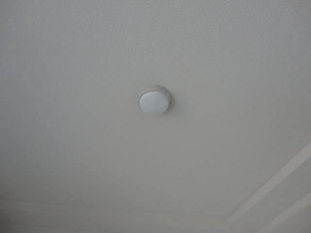 19/25 その他画像