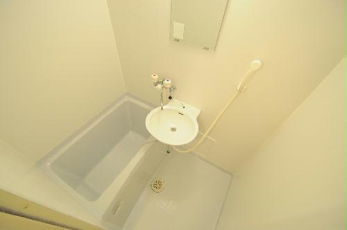 10/24 洗面