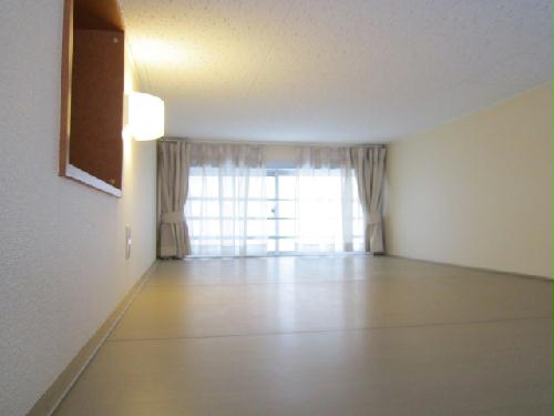 12/14 その他画像