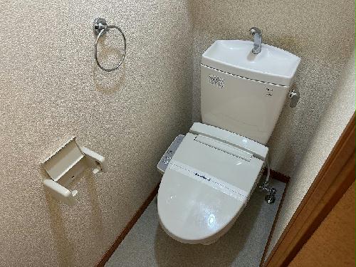 11/22 その他画像