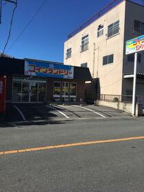 15/16 その他画像