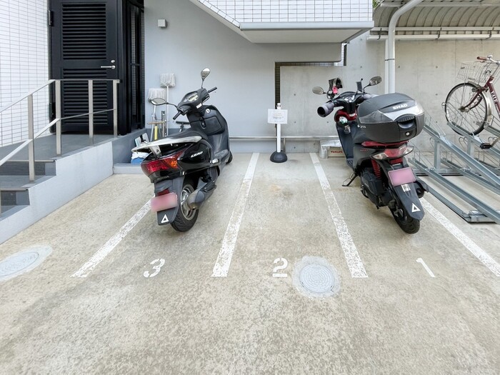 3/15 その他画像