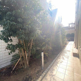 5/16 その他画像