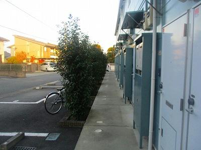 13/19 その他画像