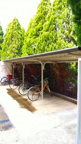 11/14 その他画像