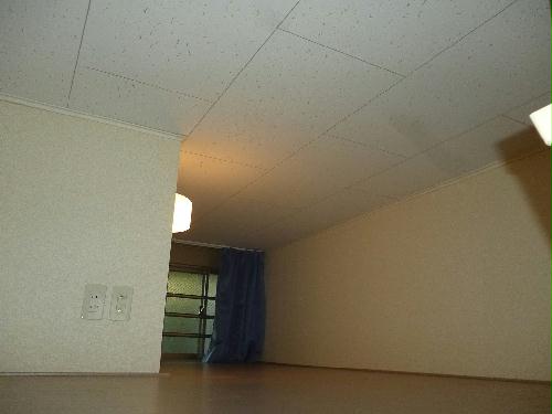 4/10 その他画像